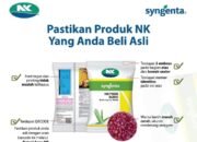 Waspada Bibit Jagung Palsu, Pastikan Anda Membeli Produk NK Asli