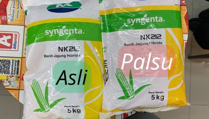 Benih Jagung NK 212 di Tibawa Dipastikan Palsu