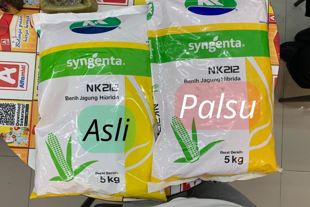 Tampak depan perbedaan produk bibit Jagung Palsu dan Asli yang ada di Desa Buhu, Kecamatan Tibawa. (Foto: Gotimes.id).