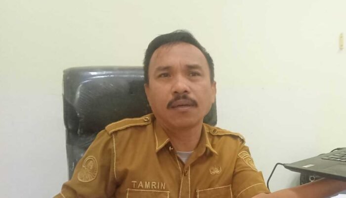 Kadis LH Gorut Tegaskan Penghapusan Merkuri di Sektor Pertambangan