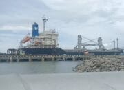 PT Gorontalo Panel Lestari Pasok 10.320 Ton Wood Pellet ke Jepang