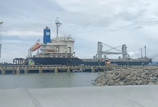 PT Gorontalo Panel Lestari Pasok 10.320 Ton Wood Pellet ke Jepang