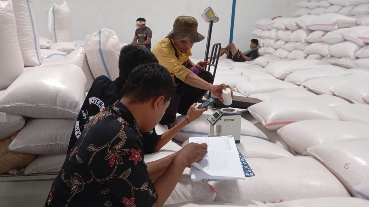 Petugas gudang saat melakukan pemeriksaan jagung petani. (Foto: Gotimes)