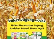 Paket perawatan jagung andalan petani Maxxi Agri. (Foto: Maxxi Agri)