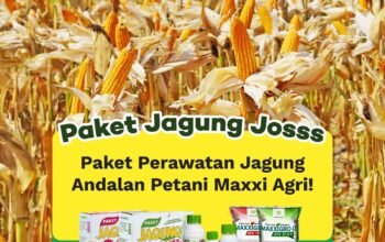 Paket perawatan jagung andalan petani Maxxi Agri. (Foto: Maxxi Agri)