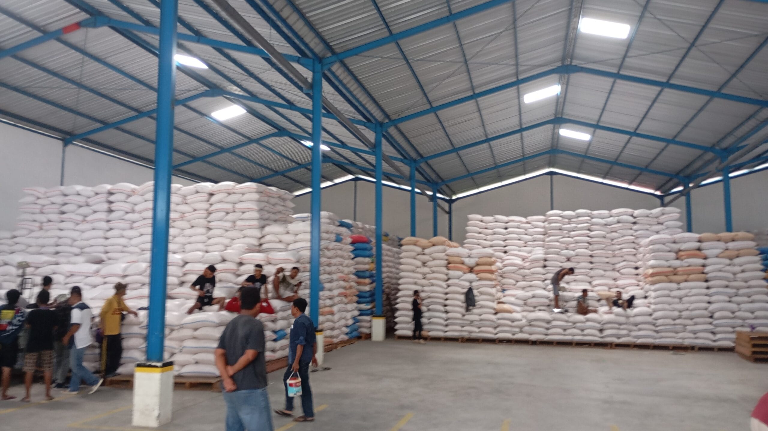 Gudang Jagung Perum Bulog (Foto: Gotimes)