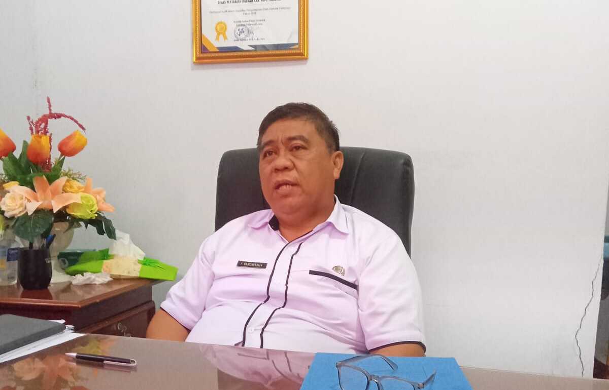 Kadis Pertanian Kepulauan Sangihe, Franky Natingkaseh. (Foto: Grace Inggrid Dauhan)
