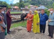 RSUD dr. Zainal Umar Sidiki Serahkan Satu Ekor Sapi Qurban ke Masjid Agung Gorut