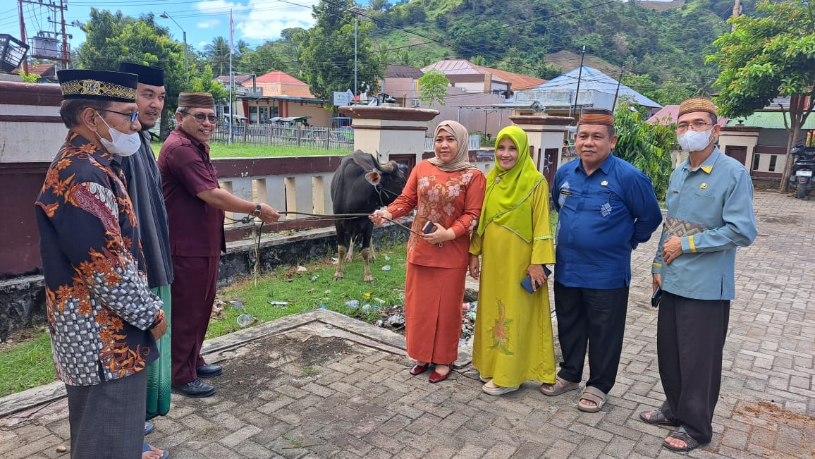 RSUD dr. Zainal Umar Sidiki Serahkan Satu Ekor Sapi Qurban ke Masjid Agung Gorut. (Foto: Humas RSUD ZUS)