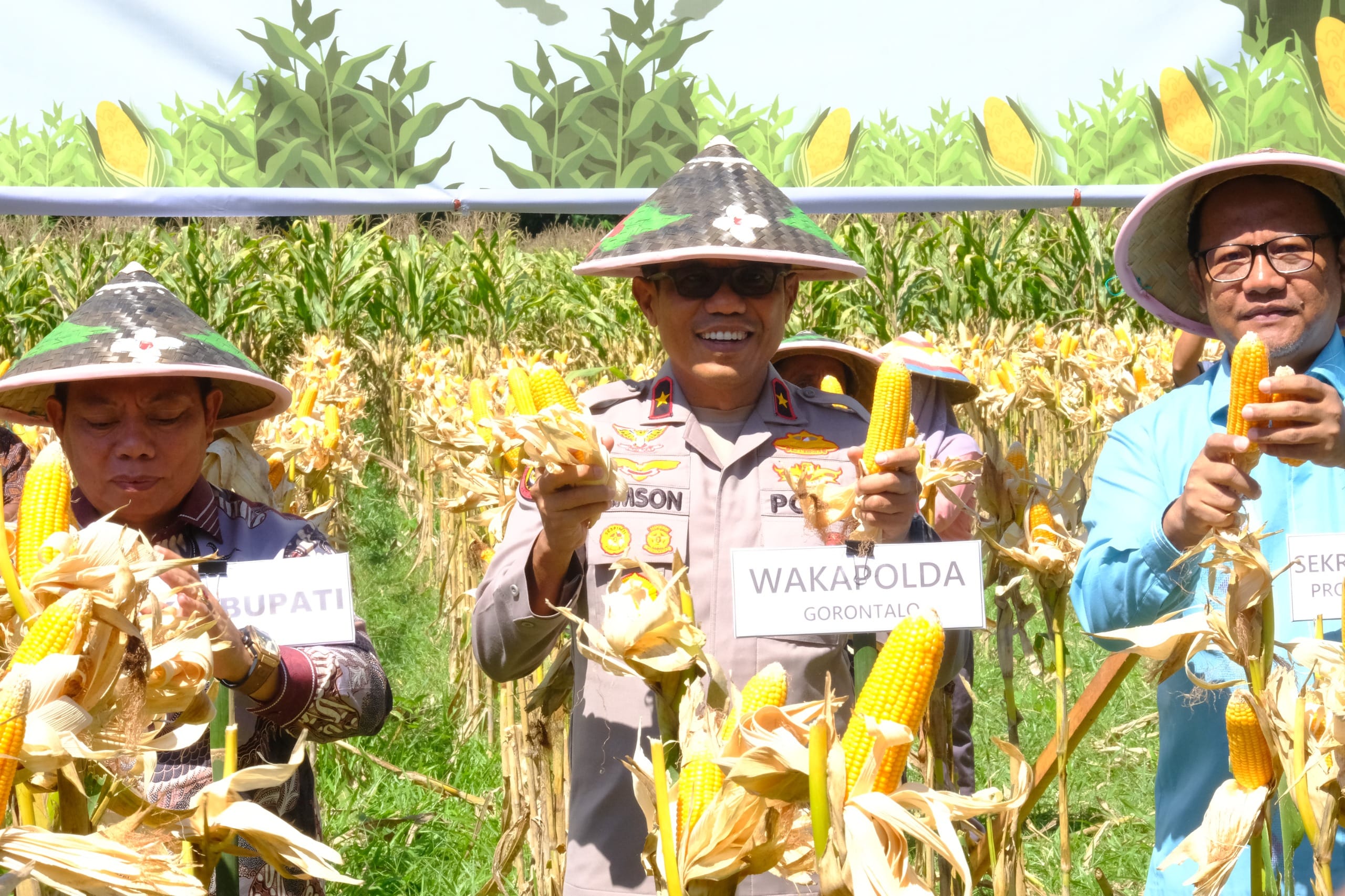 Wakapolda Gorontalo Hadiri Panen Raya Jagung di Bone Bolango. (Foto: Humas Polda Gorontalo)