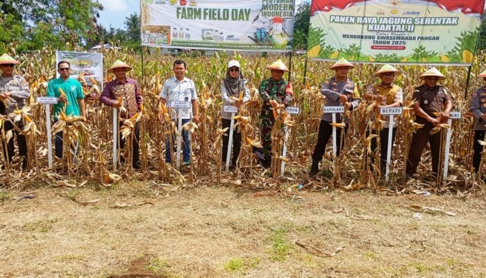 PT Maxxi Agri Indonesia Dukung Panen Raya Jagung di Gorontalo Utara