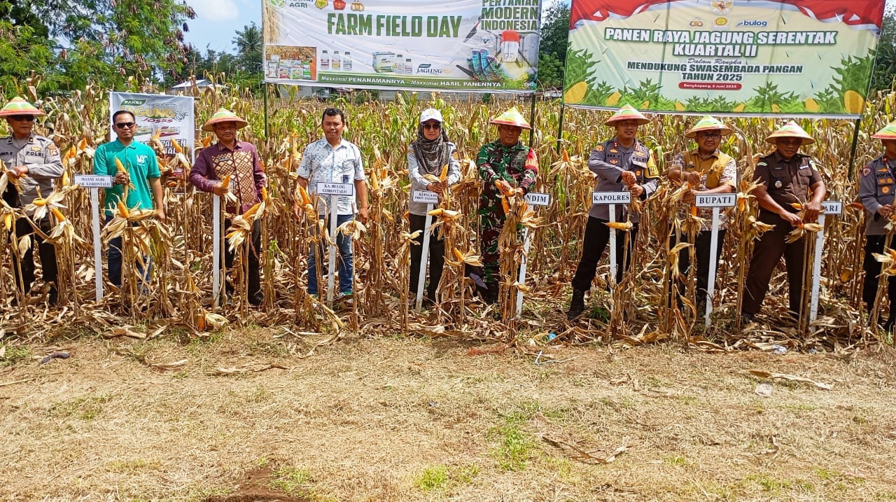 PT. Maxxi Agri Indonesia Ikut Serta dalam Panen Raya Jagung Serentak di Gorontalo Utara. (Foto: Gotimes)