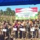 Dukung Swasembada Pangan, Polres Pohuwato Laksanakan Panen Jagung Kuartal II. (Foto: Humas Polres Pohuwato)