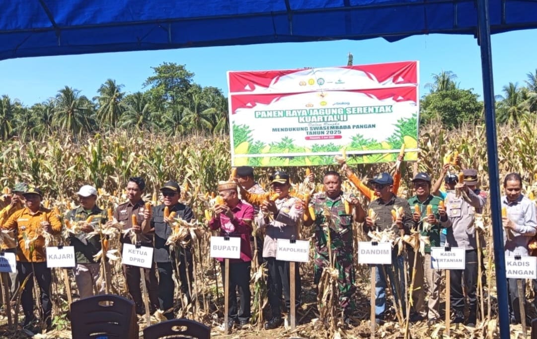Dukung Swasembada Pangan, Polres Pohuwato Laksanakan Panen Jagung Kuartal II. (Foto: Humas Polres Pohuwato)