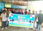 Idul Adha 1446 H, Fandi Malibu dan Keluarga Tebar Berkah Kurban di Tiga Kecamatan