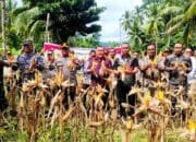 Ketua DPRD Sangihe Ajak Warga Dukung Swasembada Pangan Lewat Pemanfaatan Lahan