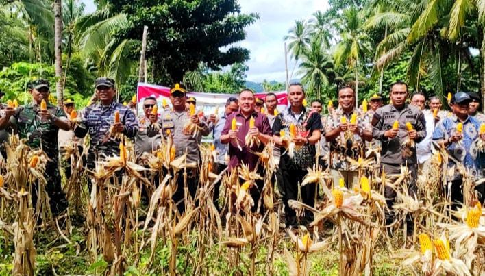 Ketua DPRD Sangihe, Ferdy Sondakh saat menghadiri panen raya jagung. (Foto: AM Budiman)