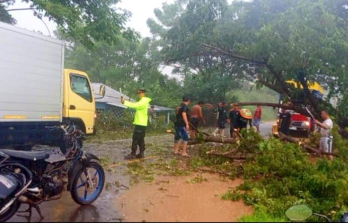 Polsek Paguat Tangani Cepat Pohon Tumbang yang Tutup Jalan Trans Sulawesi. (Foto: Humas Polres Pohuwato)