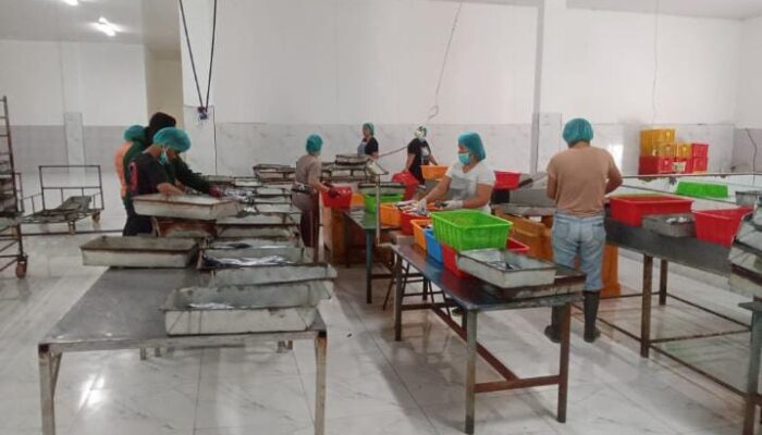 Tatap Peluang Ekspor Perikanan Sangihe, PT. JSM Soroti Pentingnya Kepastian dan Keamanan Pasar