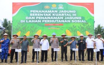 Dukung Ketahanan Pangan, Wakapolda Gorontalo Ikut Tanam Jagung Serentak. (Foto: Humas Polda Gorontalo)