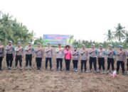 Bid Propam Polda Gorontalo Gelar Penanaman Jagung Serentak Kuartal III di Pohuwato. (Foto: Humas Polres Pohuwato)