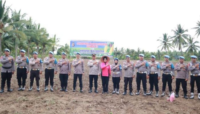 Bid Propam Polda Gorontalo Gelar Penanaman Jagung Serentak Kuartal III di Pohuwato