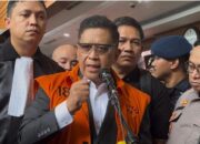 Sekjen PDIP Hasto Kristiyanto (Foto: Mulia Budi/detikcom)