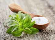 Stevia Fermentasi Beri Harapan Baru untuk Terapi Kanker Pankreas