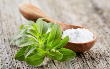 Stevia Fermentasi Beri Harapan Baru untuk Terapi Kanker Pankreas