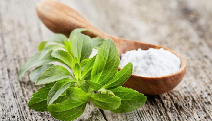 Stevia Fermentasi Beri Harapan Baru untuk Terapi Kanker Pankreas