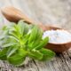Stevia Fermentasi Beri Harapan Baru untuk Terapi Kanker Pankreas