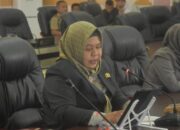Fraksi Hanura-PKS Beri Catatan Kritis atas Dokumen KUA-PPAS Perubahan 2025