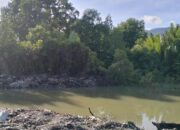 Pekerjaan normalisasi sungai pada tahun 2024 di desa Buluwatu, Kecamatan Sumalata Timur. (Foto: Ist)