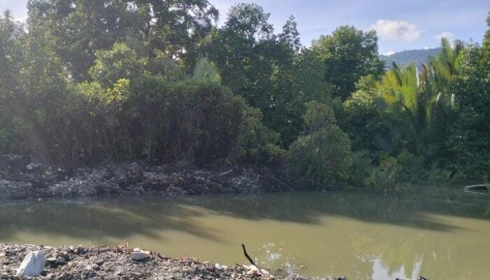 Diduga Tanpa Sepengetahuan Balai Sungai, Normalisasi Sungai di Buluwatu Sentuh Kawasan Mangrove