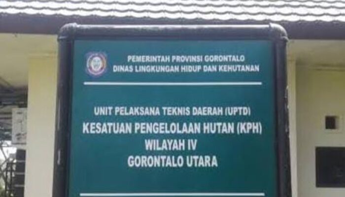 Normalisasi Sungai di Buluwatu Sentuh Mangrove, KPH IV Gorut Ingatkan Potensi Pidana