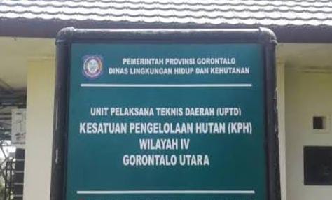 Normalisasi Sungai di Buluwatu Sentuh Mangrove, KPH IV Gorut Ingatkan Potensi Pidana. (Foto: Dok. lensa.today)