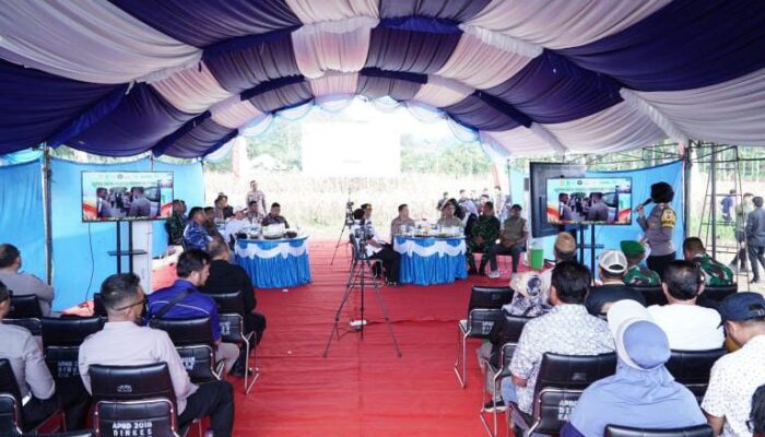 Kapolda Gorontalo Hadiri Panen Raya Jagung Serentak Kuartal III Dukung Ketahanan Pangan Nasional