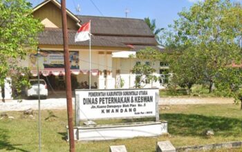 Kantor Dinas Peternakan dan Kesehatan Hewan Gorontalo Utara. (Foto: Ist)