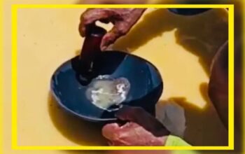 PETI Pohuwato dan Jejak Merkuri yang Mengalir Bertahun-tahun. (Foto: Ist)