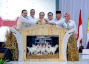 Gorontalo Utara Jadi Lokasi Hilirisasi Ayam Nasional, Peluang Peternak Lokal Terbuka Lebar