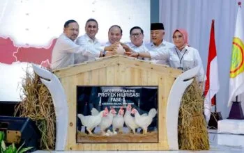 Gorontalo Utara Jadi Lokasi Hilirisasi Ayam Nasional, Peluang Peternak Lokal Terbuka Lebar. (Foto: Humas Ditjen PKH Kementan RI)
