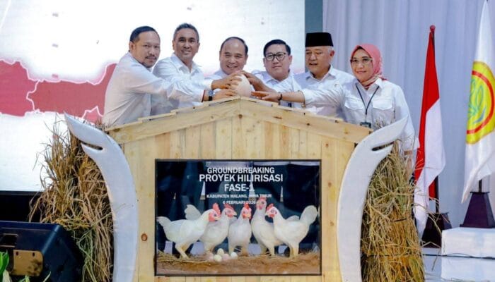 Gorontalo Utara Jadi Lokasi Hilirisasi Ayam Nasional, Peluang Peternak Lokal Terbuka Lebar