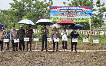 Polres Pohuwato Tanam Jagung Kuartal I 2026 Dukung Program Swasembada Pangan. (Foto: Humas Polres Pohuwato)